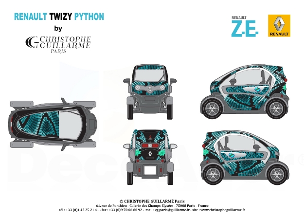 Twizy Python