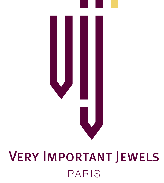Logo VIJ V